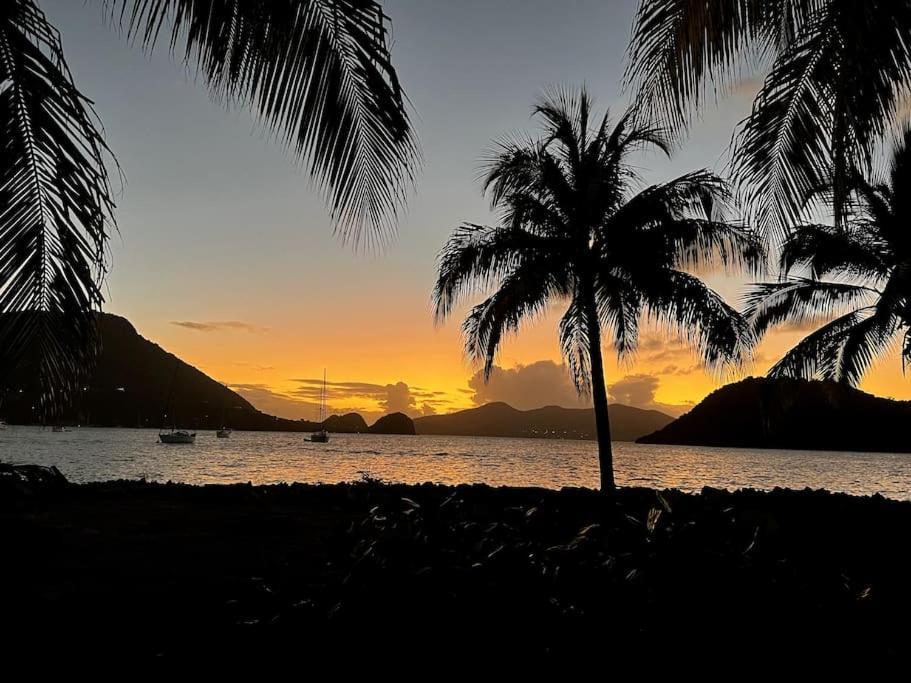 Bungalow Sucrier, Les Pieds Dans L'Eau Terre-De-Haut Buitenkant foto